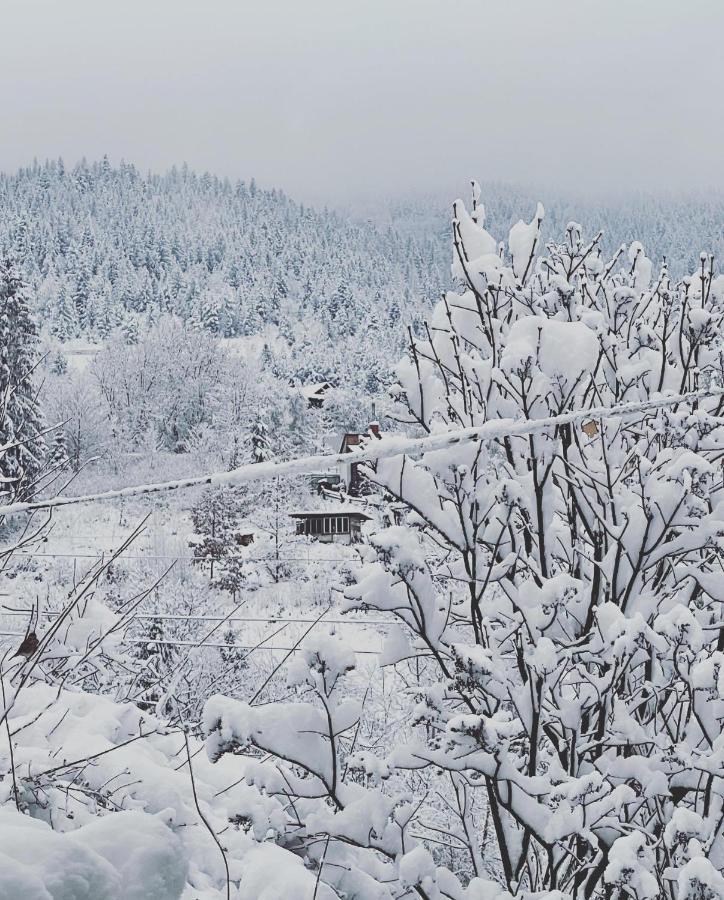 Apartmán Zabava Jaremče Exteriér fotografie