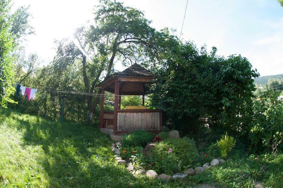 Apartmán Zabava Jaremče Exteriér fotografie