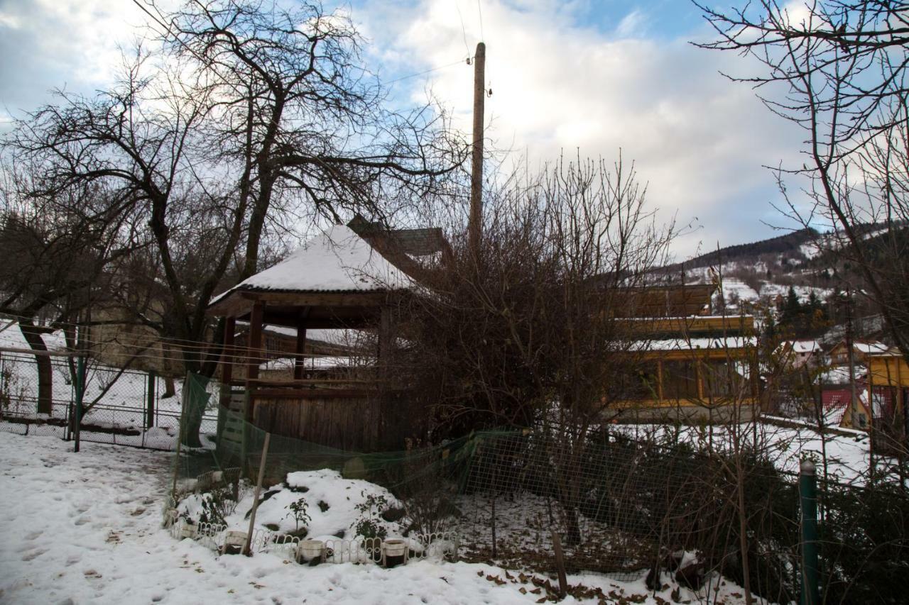 Apartmán Zabava Jaremče Exteriér fotografie